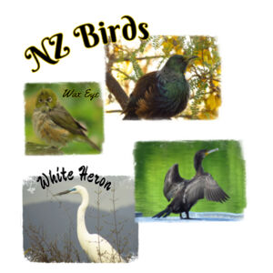 Birds of NZ Design