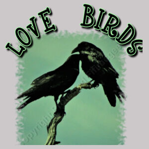 Love Birds Design