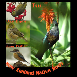 New Zealand Native Birds Design