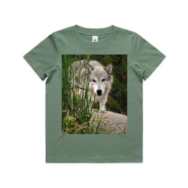 Peek a boo Wolf Peek a boo Wolf Thumbnail