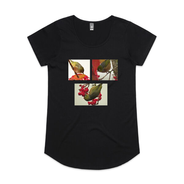 Wax Eye Wax Eye Thumbnail