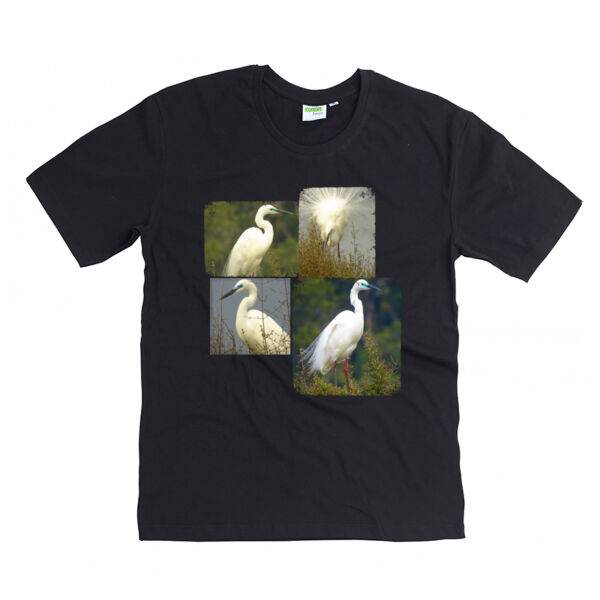 Elegant White Herons -Women's T-shirt Elegant White Herons -Women's T-shirt Thumbnail