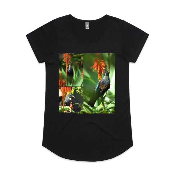 Tui in glorious colour Tui in glorious colour Thumbnail