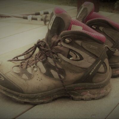 IMG 2368  3  Thumbnail