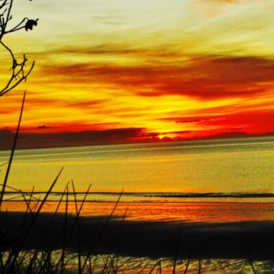 campervan 2020 1 128 Thumbnail