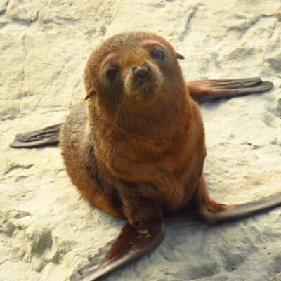 IMG 2933  1  Thumbnail