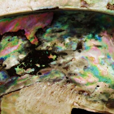 Campervan trip 2020 021 Thumbnail