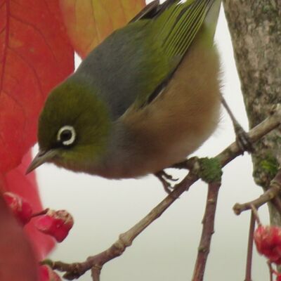 lockdown20 002 Thumbnail